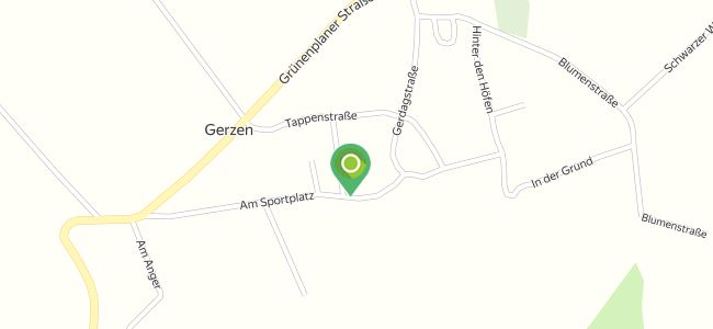 Glücksgans Gerzen, Alfeld (Leine)