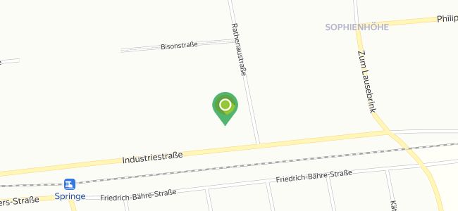 Sport Bistro, Springe