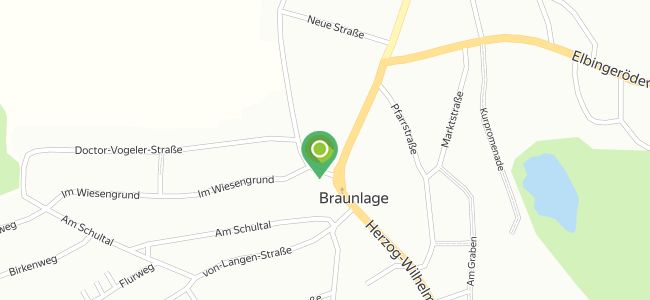 Blickfang, Braunlage