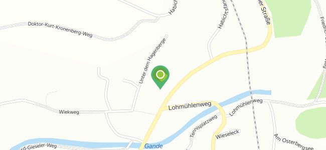 Flexx, Bad Gandersheim