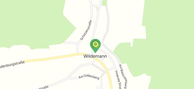 Landhaus, Wildemann