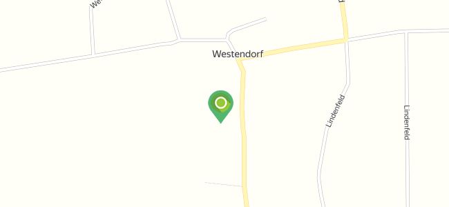 Koepsel Frank Partydiele Westendorf, Melle