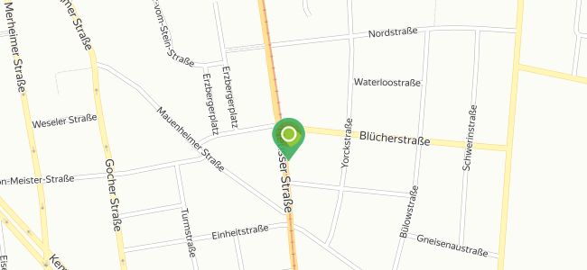 Hornochse, Köln