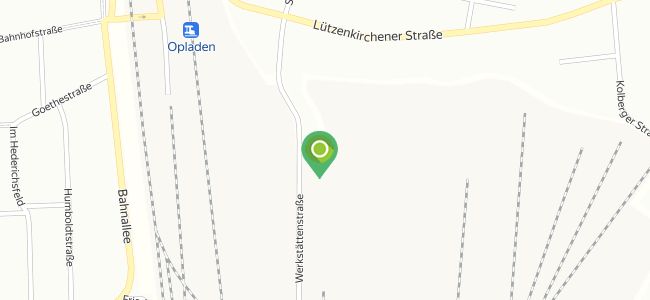 Gallodini, Opladen