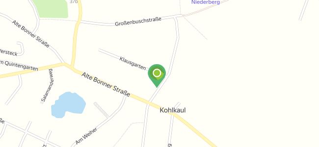 Pizza Mann  Holzlar, Beuel