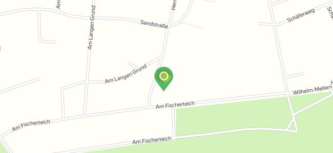 StreetfoodHome, Detmold