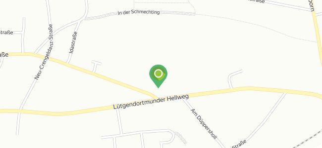 Tara Hategului International, Lütgendortmund