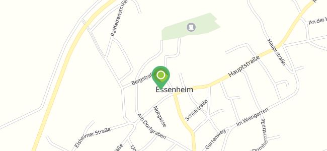 Golden Pizza Und Indische Spezialitäten, Essenheim
