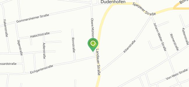 Bambus Asiatisches Spezialitäten Restaurant Und Lieferservice, Dudenhofen