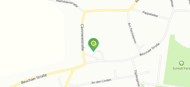 Drei Linden, Brandis