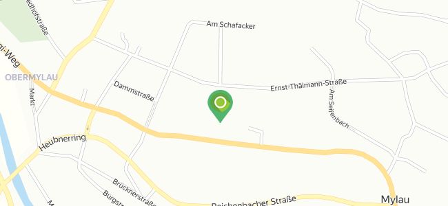 Thomas Fleischer, Reichenbach im Vogtland