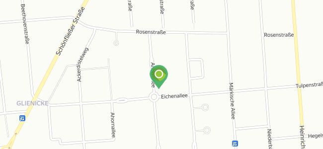 Käseglocke, Eichenallee