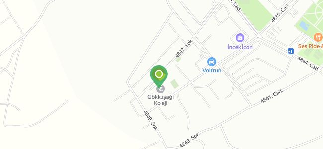 Alacaatlı Gokkusagi International School