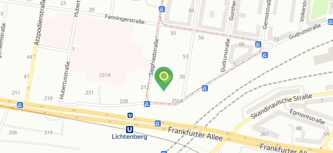 Asian Duc Anh, Lichtenberg