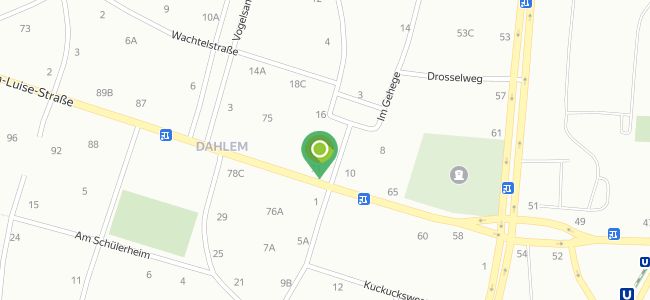 Fine Chinese Food, Steglitz Zehlendorf