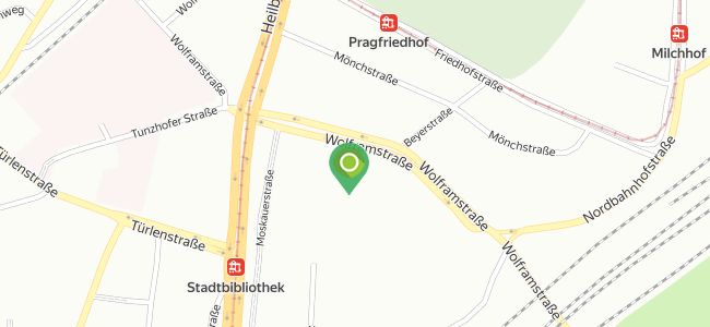 Immergrün, Stuttgart Mitte
