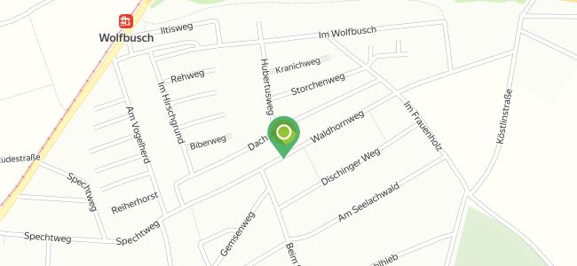Leone Pizza Express, Weilimdorf