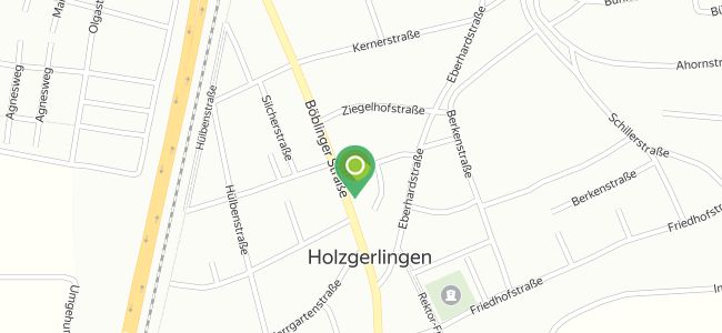 Hotel Restaurant Waldhorn, Holzgerlingen