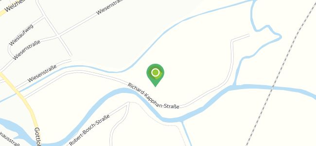 Platzhirsch, Schorndorf