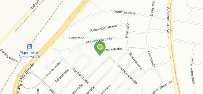 Dan's House, Neckarstadt West