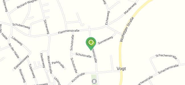 Bistro Seroh, Vogt