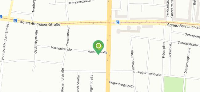 Grüner Zweig Biomarkt, München