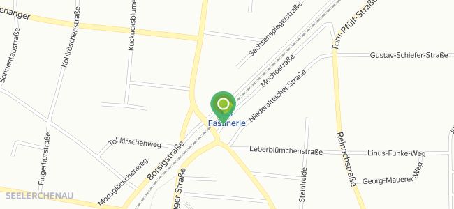Kistenpfennig, Feldmoching Hasenbergl