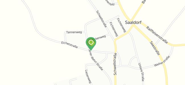Letca Vasile Georgian, Saaldorf-Surheim