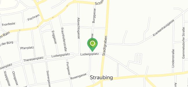 Bayerischer Löwe Gaststätte, Straubing
