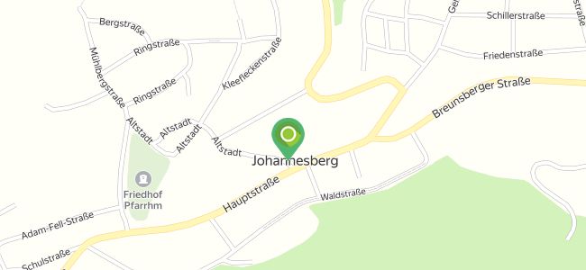 Alt, Johannesberg