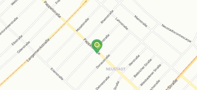 Cafe Frida X Plant Paradise, Neustadt