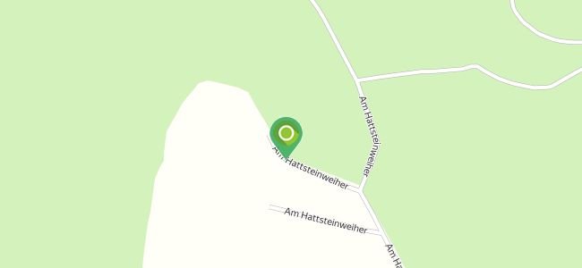 Neumann, Usingen