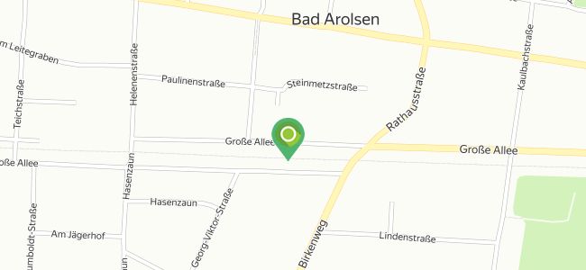 Lion Bar Restaurant Lounge, Bad Arolsen